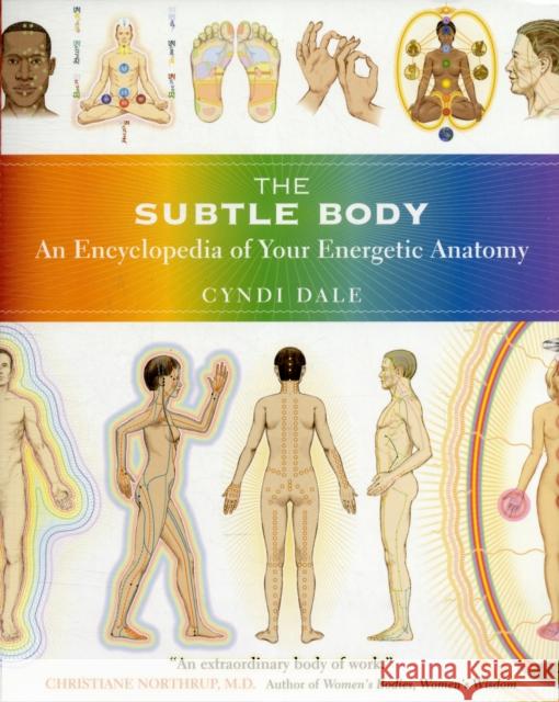 The Subtle Body: An Encyclopedia of Your Energetic Anatomy Dale, Cyndi 9781591796718 Sounds True