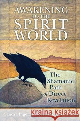 Awakening to the Spirit World: The Shamanic Path of Direct Revelation Ingerman, Sandra 9781591797500 0
