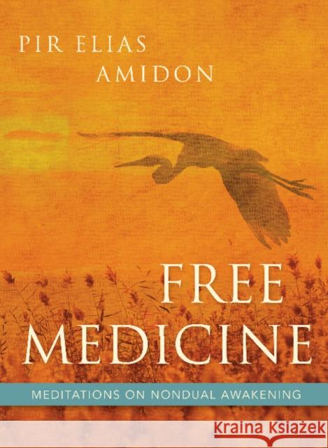 Free Medicine: Meditations on Nondual Awakening Elias Amidon 9781591812852