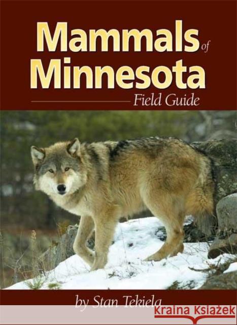 Mammals of Minnesota Field Guide Stan Tekiela 9781591930334 Adventure Publications