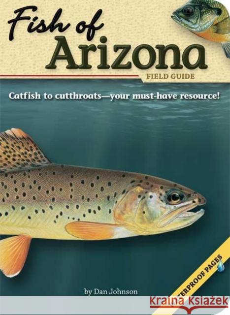 Fish of Arizona Field Guide Dan Johnson 9781591930815 Adventure Publications