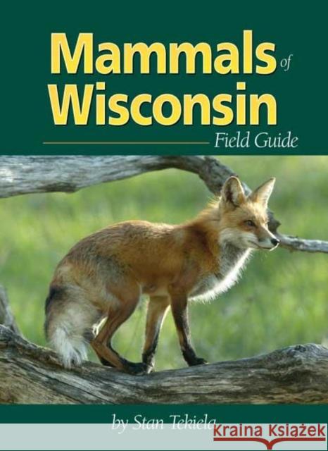 Mammals of Wisconsin Field Guide Stan Tekiela 9781591931126 Adventure Publications