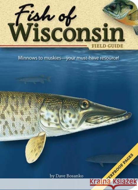 Fish of Wisconsin Field Guide Dave Bosanko 9781591931942 Adventure Publications