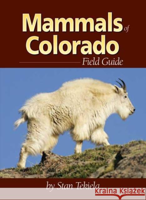 Mammals of Colorado Field Guide Stan Tekiela 9781591931973 Adventure Publications