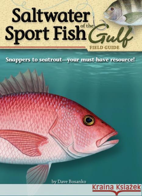 Saltwater Sport Fish of the Gulf Field Guide Dave Bosanko 9781591932543 Adventure Publications(MN)