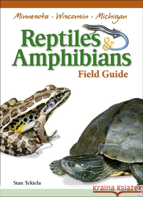 Reptiles & Amphibians of Minnesota, Wisconsin and Michigan Field Guide Stan Tekiela 9781591932802 Adventure Publications(MN)