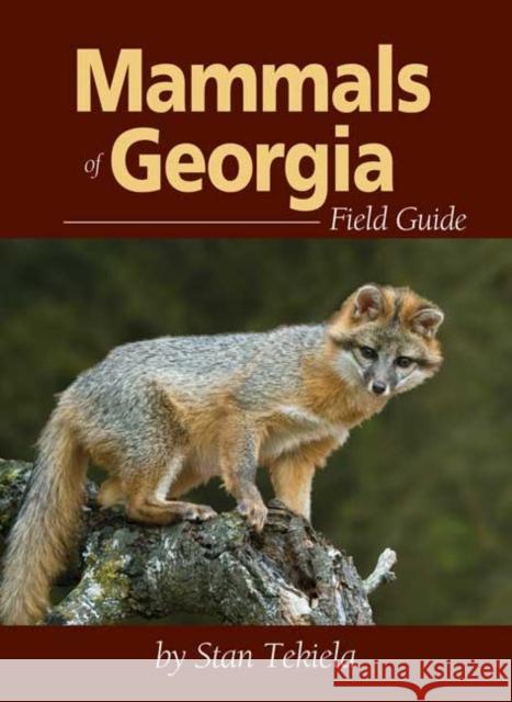 Mammals of Georgia Field Guide Stan Tekiela 9781591933052 Adventure Publications(MN)