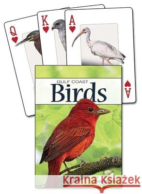 Birds of the Gulf Coast Stan Tekiela 9781591933601 Adventure Publications(MN)
