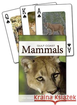 Mammals of the Gulf Coast Stan Tekiela 9781591933632 Adventure Publications(MN)