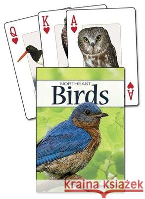 Birds of the Northeast Playing Cards Stan Tekiela 9781591933854 Adventure Publications(MN)