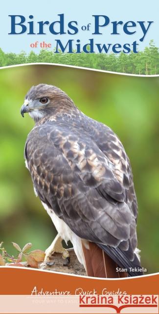 Birds of Prey of the Midwest: Your Way to Easily Identify Raptors Tekiela, Stan 9781591933984 Adventure Publications(MN)