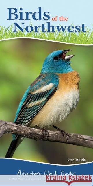 Birds of the Northwest: Your Way to Easily Identify Backyard Birds Tekiela, Stan 9781591934110 Adventure Publications(MN)