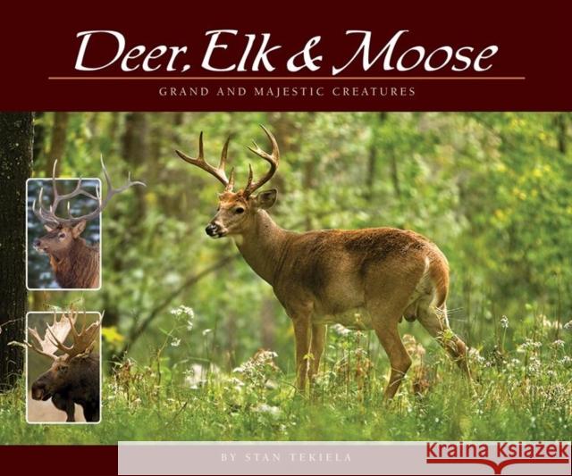 Deer, Elk & Moose: Grand and Majestic Creatures Stan Tekiela 9781591934592 Adventure Publications(MN)