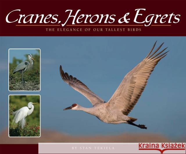 Cranes, Herons & Egrets: The Elegance of Our Tallest Birds Stan Tekiela 9781591935841 Adventure Publications(MN)