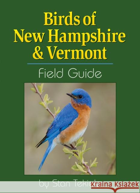 Birds of New Hampshire & Vermont Field Guide Stan Tekiela 9781591936404 Adventure Publications