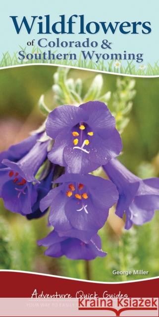 Wildflowers of Colorado & Southern Wyoming: Your Way to Easily Identify Wildflowers Miller, George Oxford 9781591936824