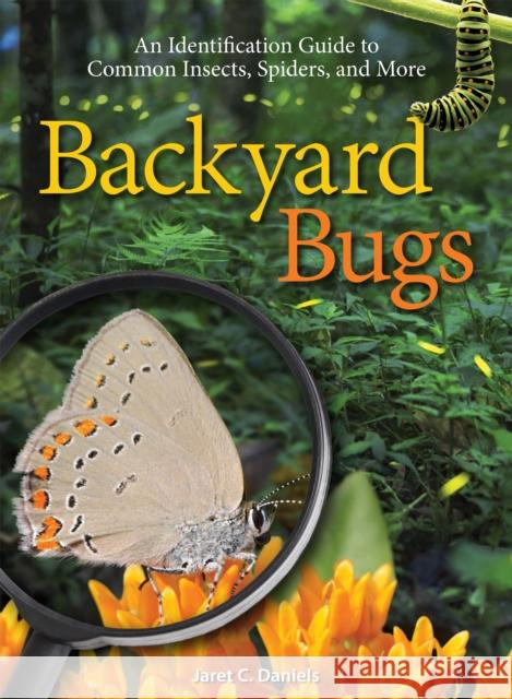 Backyard Bugs: An Identification Guide to Common Insects, Spiders, and More Jaret C. Daniels 9781591936855 Adventure Publications