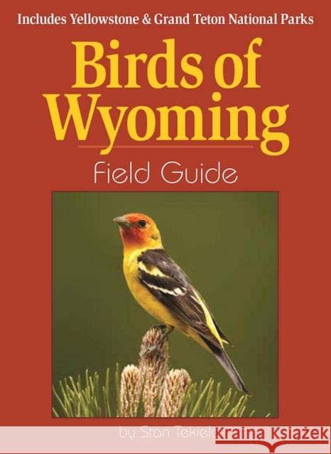 Birds of Wyoming Field Guide: Includes Yellowstone & Grand Teton National Parks Stan Tekiela 9781591937258 Adventure Publications