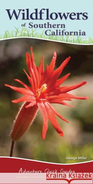 Wildflowers of Southern California: Your Way to Easily Identify Wildflowers Miller, George Oxford 9781591937517