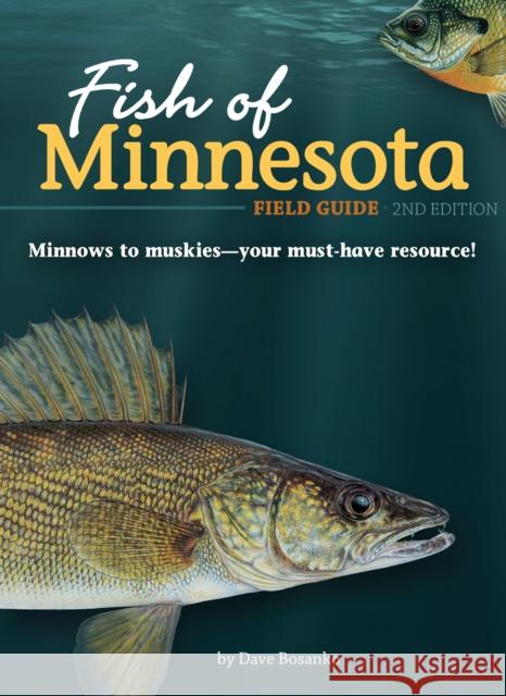 Fish of Minnesota Field Guide  9781591937906 Adventure Publications