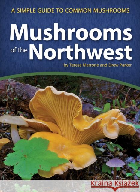 Mushrooms of the Northwest: A Simple Guide to Common Mushrooms  9781591937920 Adventure Publications