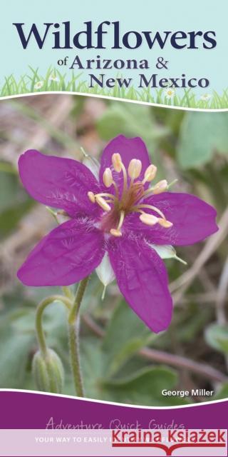 Wildflowers of Arizona & New Mexico: Your Way to Easily Identify Wildflowers Miller, George Oxford 9781591938170 Adventure Publications