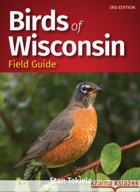 Birds of Wisconsin Field Guide Stan Tekiela 9781591939559 Adventure Publications
