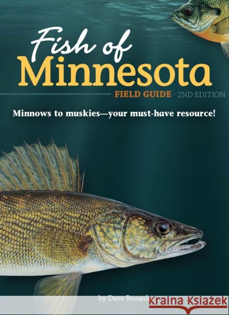 Fish of Minnesota Field Guide Dave Bosanko 9781591939962 Adventure Publications