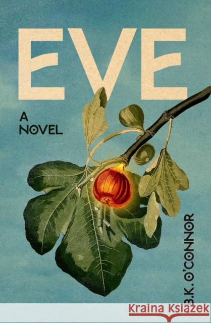 Eve: A Novel B.K. O'Connor 9781592116690 Histria Fiction