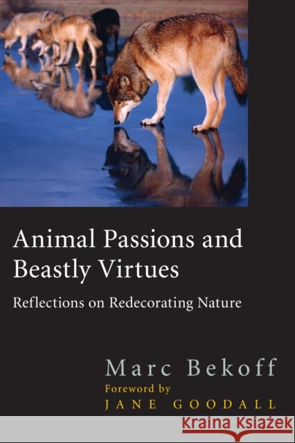 Animal Passions and Beastly Virtues: Reflections on Redecorating Nature Bekoff, Marc 9781592133482 Temple University Press