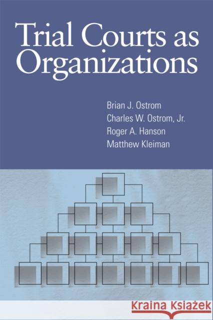 Trial Courts as Organizations Brian J. Ostrom Charles W., Jr. Ostrom Roger A. Hanson 9781592136308