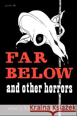 Far Below and Other Horrors from the Pulps Robert Weinberg Robert E. Howard Seabury Quinn 9781592241682 Fax Collector's Editions
