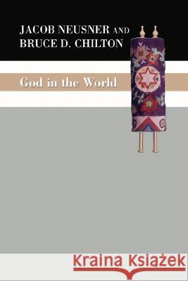 God in the World Bruce D. Chilton Jacob Neusner 9781592446438 Wipf & Stock Publishers