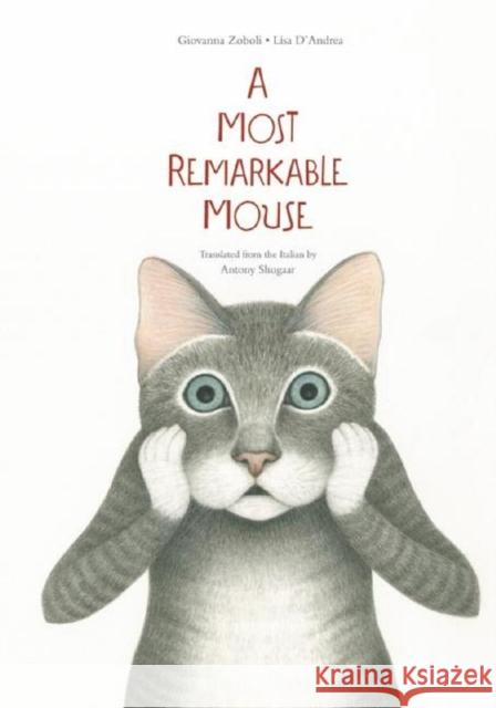 A Most Mysterious Mouse Giovanna Zoboli Lisa D'Andrea 9781592702138 Enchanted Lion Books