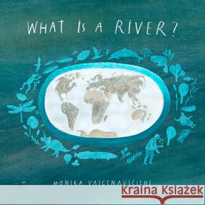 What Is A River? Monika Vaicenaviciene 9781592702794 Enchanted Lion Books