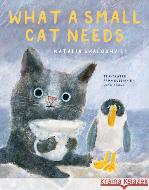 What a Small Cat Needs Shaloshvili, Natalia 9781592704774 Enchanted Lion