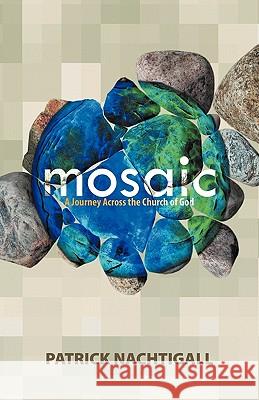 Mosaic Patrick Nachtigall 9781593175139 Warner Press