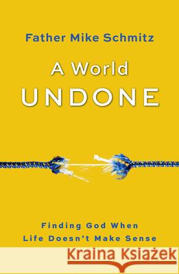 A World Undone: Finding God When Life Doesn't Make Sense Fr Mike Schmitz 9781593255992 Word Among Us Press