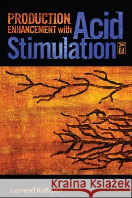 Production Enhancement with Acid Stimulation Leonard Kalfayan 9781593701390 Pennwell Books