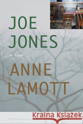 Joe Jones Anne Lamott 9781593760038