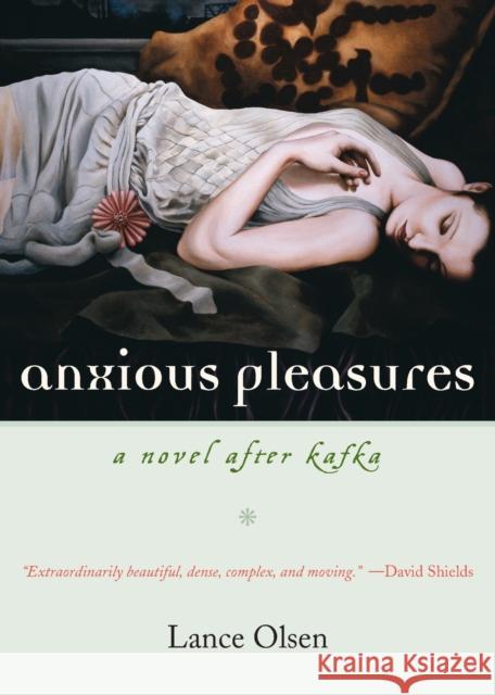 Anxious Pleasures: A Novel after Kafka Olsen, Lance 9781593761356 Shoemaker & Hoard