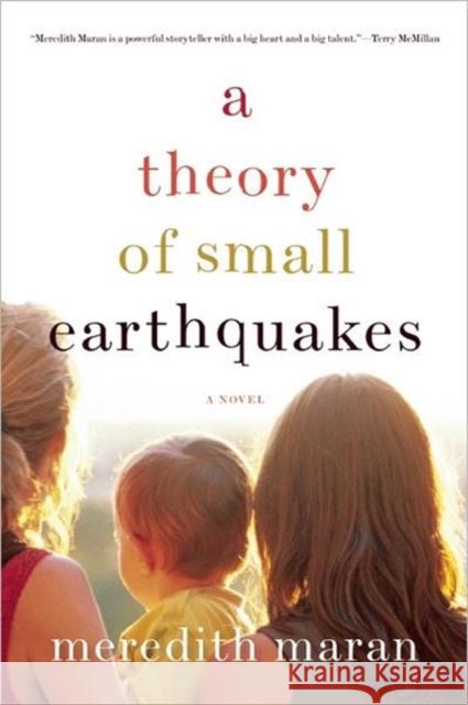 A Theory of Small Earthquakes Meredith Maran 9781593764302 Soft Skull Press