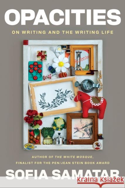 Opacities: On Writing and the Writing Life Sofia Samatar 9781593767662 Soft Skull