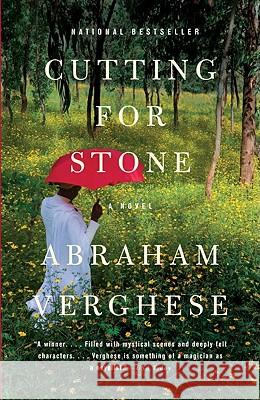 Cutting for Stone Abraham Verghese 9781594134982