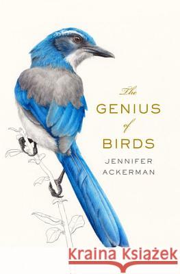 The Genius of Birds Jennifer Ackerman 9781594205217 Penguin Press