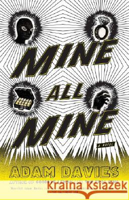 Mine All Mine. Dein oder mein, englische Ausgabe : A Novel Adam Davies 9781594483141