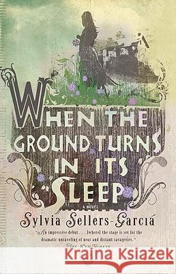 When the Ground Turns in Its Sleep Sylvia Sellers-Garcia 9781594483363