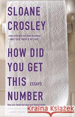 How Did You Get This Number Sloane Crosley 9781594485190