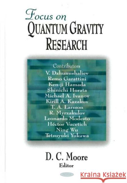 Focus on Quantum Gravity Research D C Moore 9781594546600 Nova Science Publishers Inc