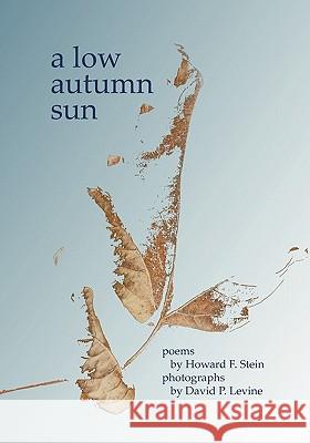 A Low Autumn Sun Howard F. Stein David P. Levine Howard Stein 9781594571190